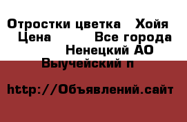 Отростки цветка  “Хойя“ › Цена ­ 300 - Все города  »    . Ненецкий АО,Выучейский п.